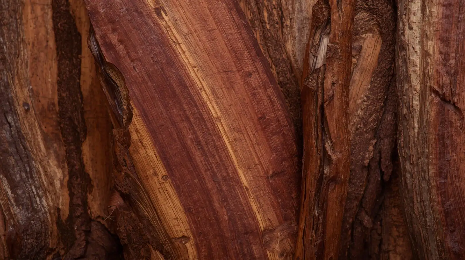 Sheesham wood used for handcrafted kitchenware